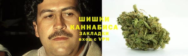 шишки Грязи