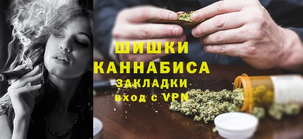 амф Бородино