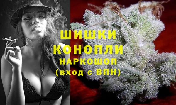 амф Бородино